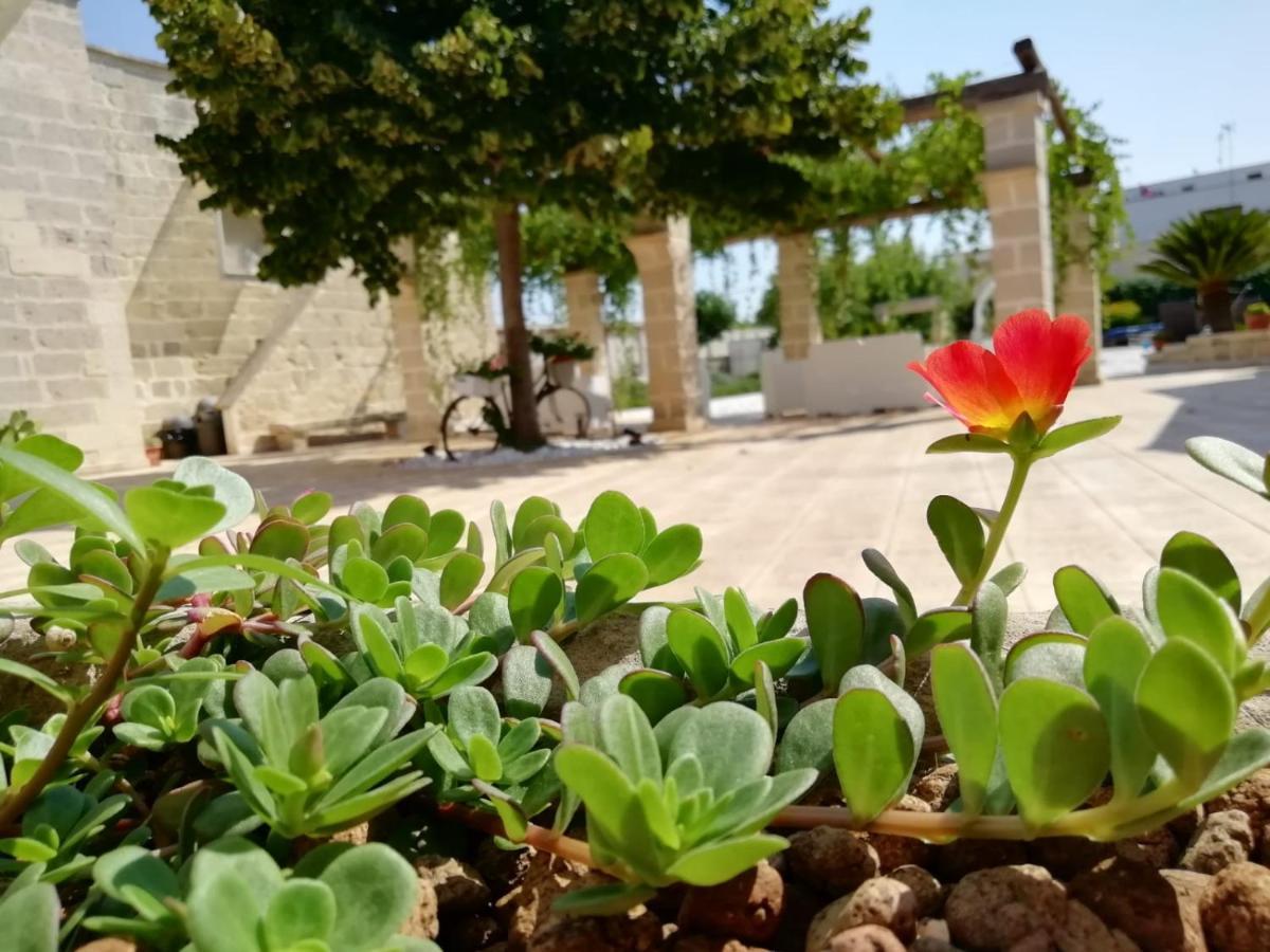 Alojamento de Acomodação e Pequeno-almoço Il Giardino Del Tiglio