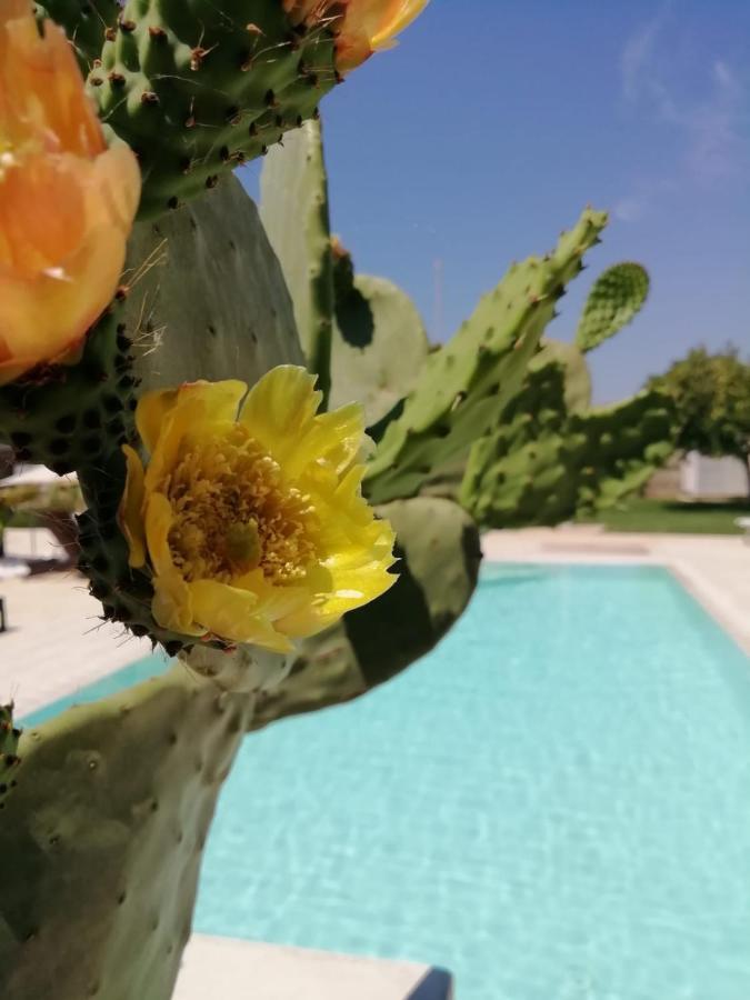 Il Giardino Del Tiglio Uggiano La Chiesa